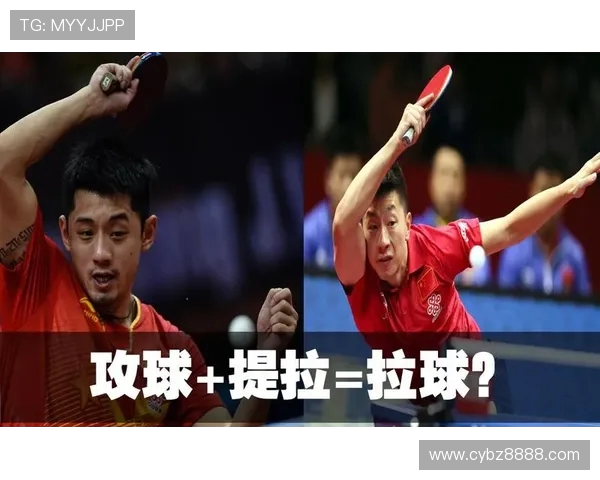 从零基础到高手之路乒乓球技术全方位提升指南